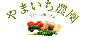 三浦市の三浦野菜　メロン、すいかなど果物のやまいち農園ネットショッピングがご利用いただけます。